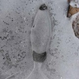 CIMG0440-1-web