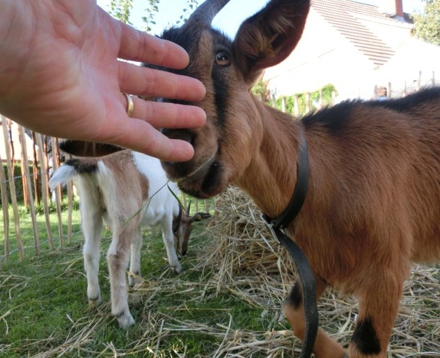 Koberstein AKTUELLES 07 10 2015B